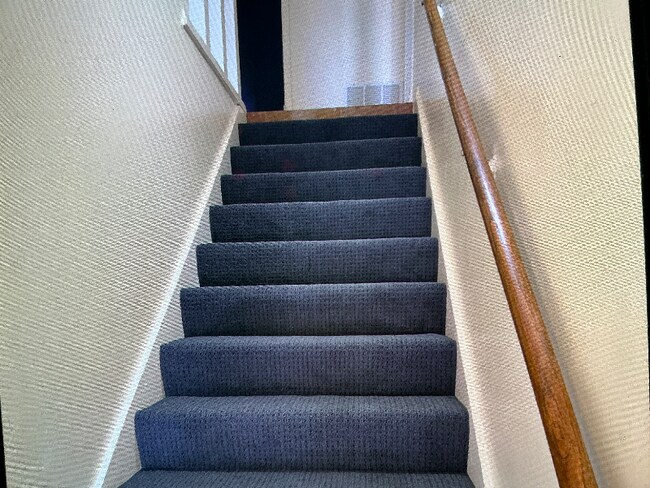 115 W Koenig Ln unit 103, Austin, TX 78751 - photo 5