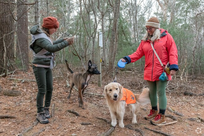 Destruction Brook Woods in Great Neck offers miles of easy trails through quiet forest.