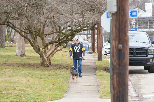 Residence enjoy walking their dogs throughout the neighborhood.