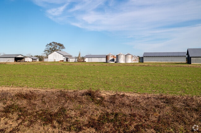 Large farms inhabit the land surrounding downtown Elberta.