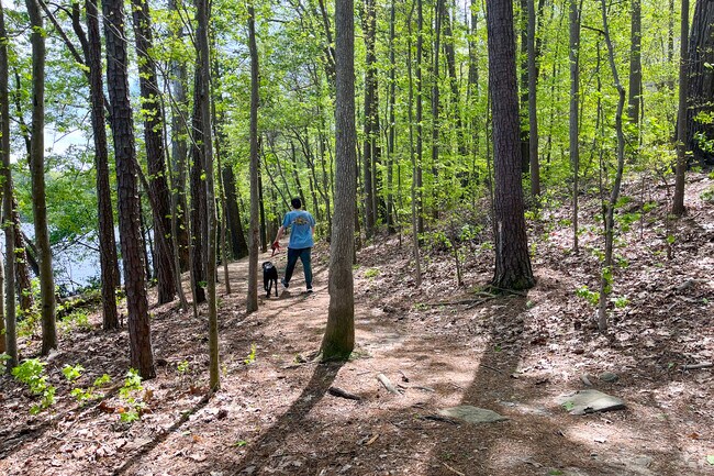 Residents enjoy nature walks around Silver Lake in the Brookhaven area.