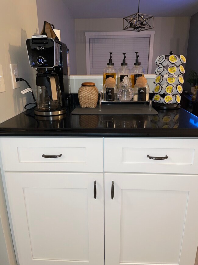 31 Pennsylvania Ave unit Affluent lifestyle, Providence, RI 02905 - photo 5