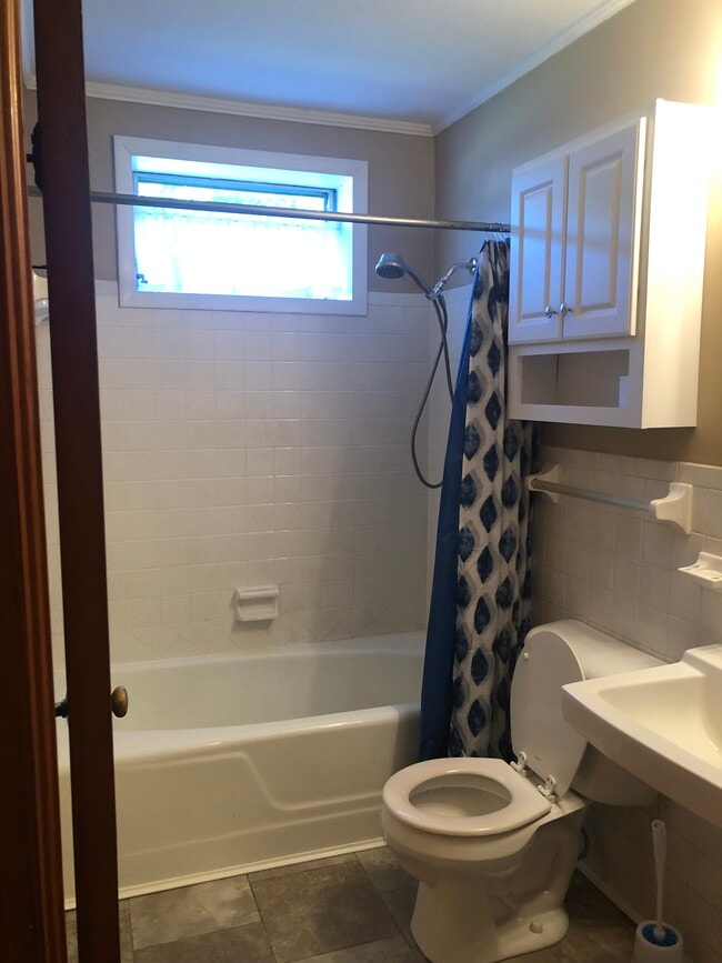 Shower/Tub Combo