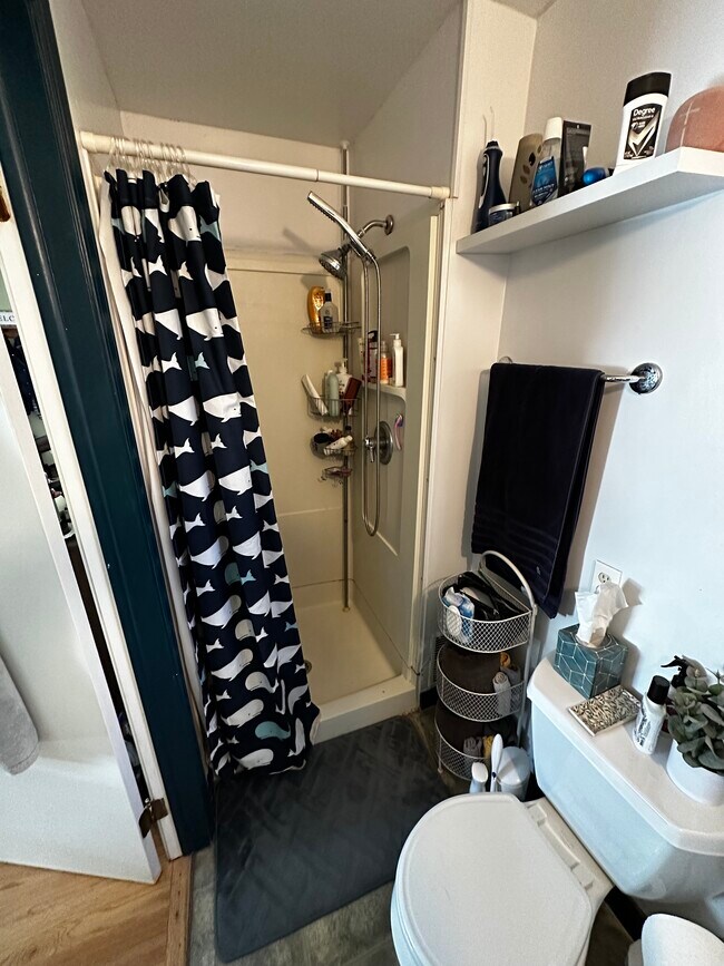 337 Beakes St, Ann Arbor, MI 48104 - photo 6