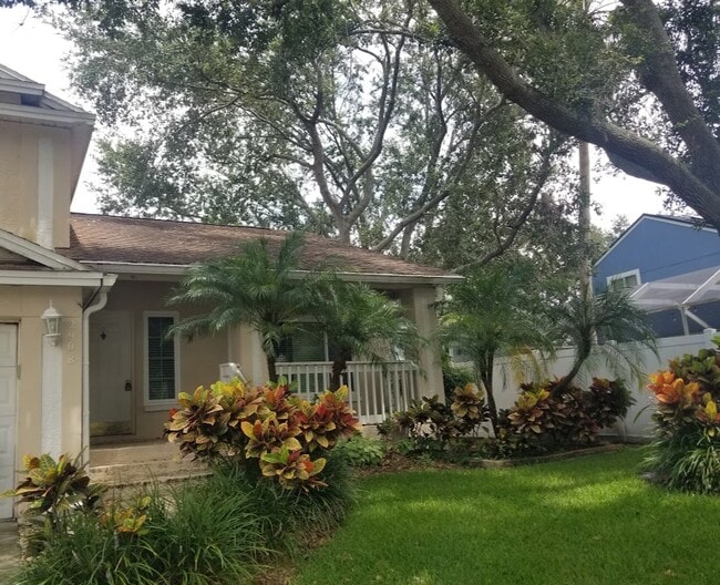 2908 Shannon Cir, Palm Harbor, FL 34684 - photo 2