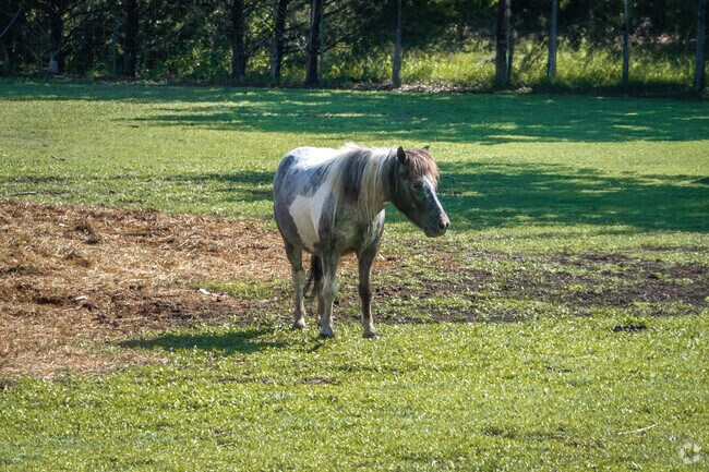 Parsons' economy centers on agriculture and farming.