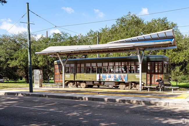 Catch a ride on the iconic New Orleans streetcar near Hollygrove.
