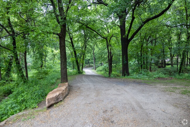 Stroll through lush greenery along the walking path in Wolf Creek Park.