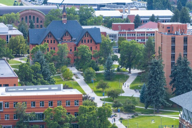 Montana State University offers over 250 educational programs with a variety of degrees.