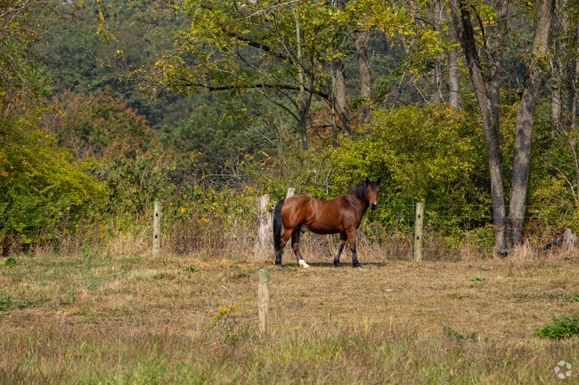 East Brunswick Township has open farmlands dotted throughout the area.