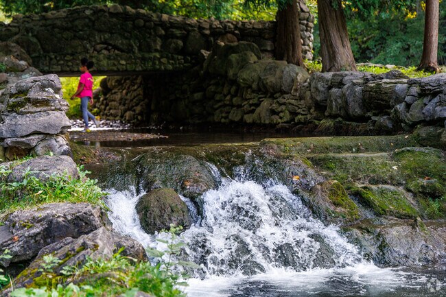Many residents come to Elmwood Park to play in the water.