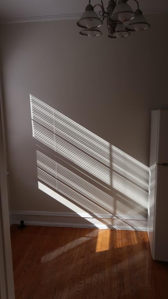 1712 W Albion Ave unit 1716-2D, Chicago, IL 60626 - photo 4