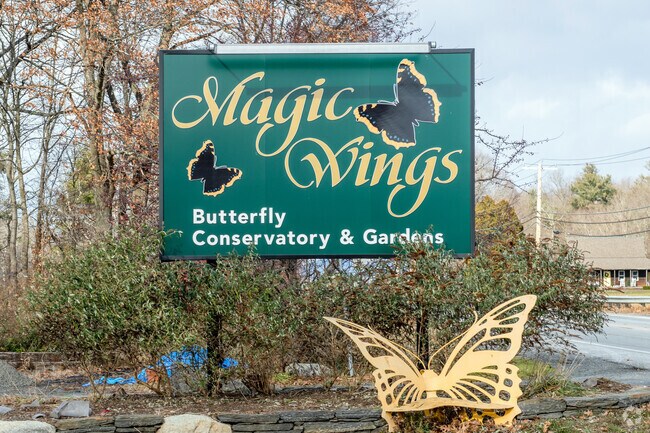 Magic Wings Butterfly Conservatory & Gardens near Conway nurtures thousands of butterflies.
