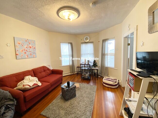 34 Darling St unit 2, Roxbury Crossing, MA 02120 - photo 2