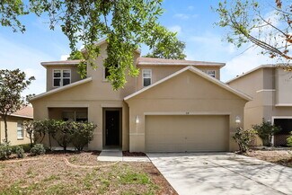 319 Vine Cliff St, Ruskin, FL 33570