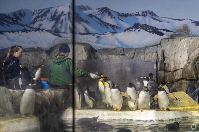 Oldham Farms is stone's throw away from the Kansas City Zoo.
