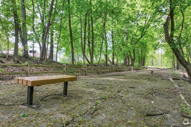 Throughout Lincoln Park, there are plenty of benches for you to rest and enjoy nature.