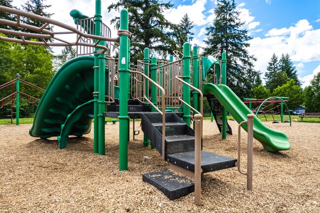 Mann Elementary School playground allows kids to play outside.