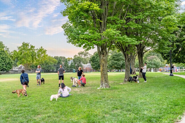 Hingetown locals often meet up with their dogs at Fairview Park.