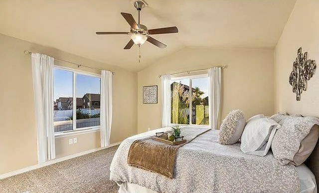 5562 Osbourne Dr, Windsor, CO 80550 - photo 6