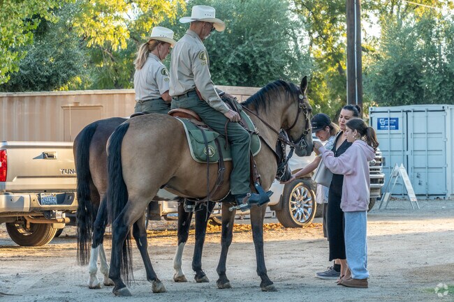 Residents of Ramona enjoy a unique experience, getting up close and personal with sheriff’s horses, connecting with these majestic animals.