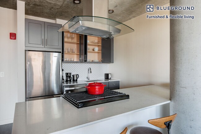 450 W Belmont Ave unit FL5-ID983, Chicago, IL 60657 - photo 6
