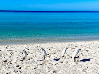 519 Roma Ct Unit 519 Roma Ct, Naples, FL 34110