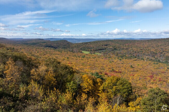 Image the view during peak foliage season in the Limestone neighborhood.