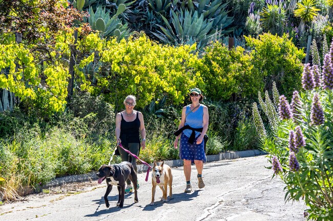 Claremont Hills provide beautiful trails for hikers at Claremont Canyon Regional Preserve.