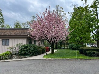 11 Maple Ave Unit 101, Greenwich, CT 06830