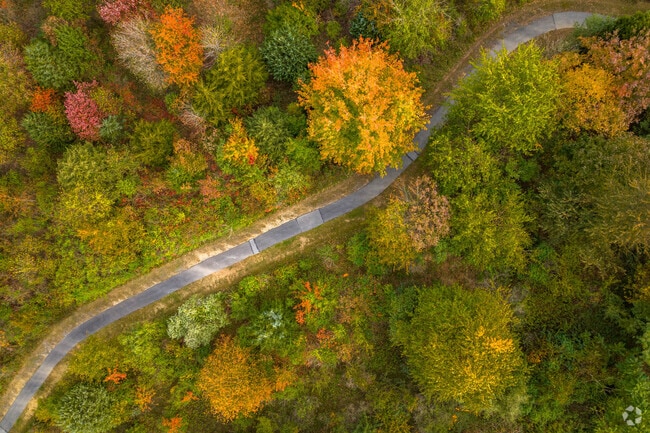 Holly Hills is Frederick's prime location to see the fall foliage.