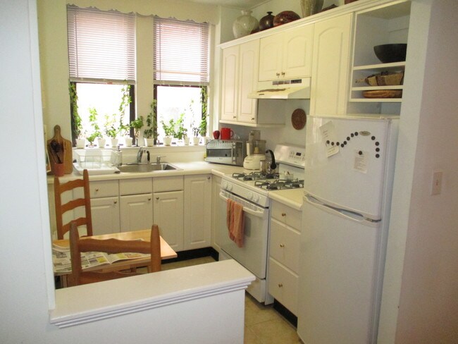 386 Commonwealth Ave unit 53, Boston, MA 02215 - photo 7