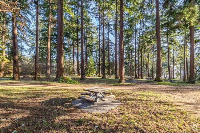 Picnic amongst the trees in Lincoln Park, Fauntleroy.