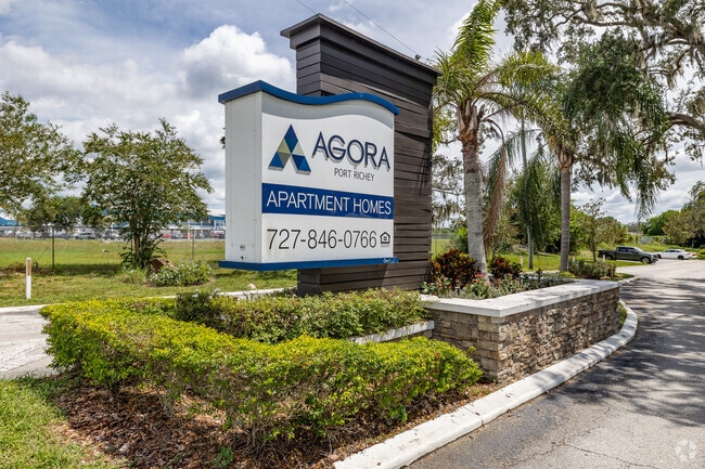 Agora at Port Richey, Port Richey, FL 34668 - photo 6