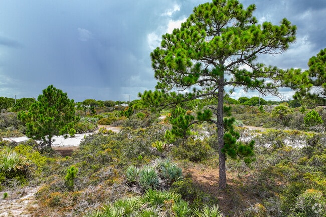 Green nature and walking trails awaits for you at the Hypoluxo Scrub Natural Area.