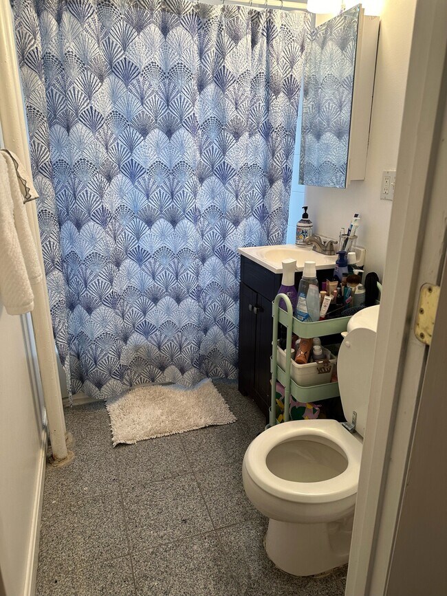 120 Brainerd Rd unit 1, Allston, MA 02134 - photo 6