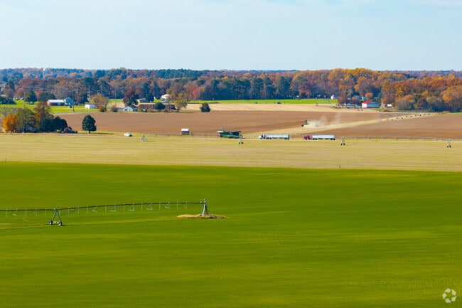 Discover the charm of Hurlock, a welcoming farming community.