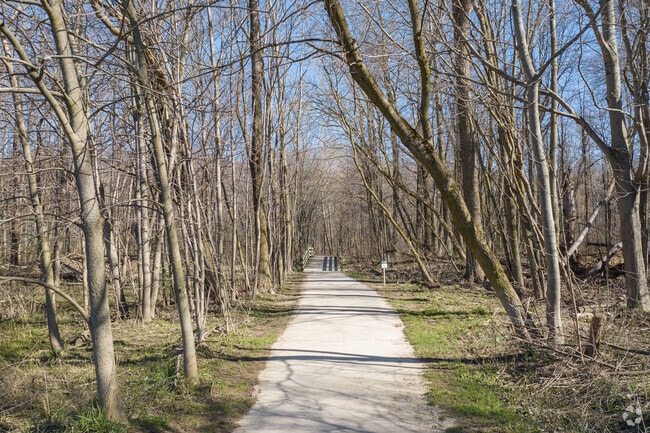 Paved path winding through the woods in the Paris Nature Park