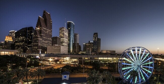 1125 W Pierce St unit ID1359162P, Houston, TX 77019 - photo 7