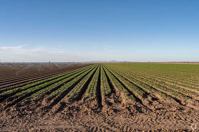 Agriculture plays a key role in the local economy.
