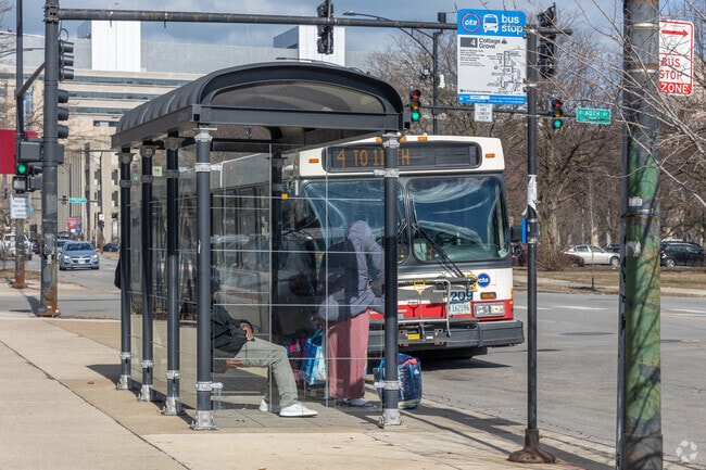 There are numerous CTA bus stops throughout West Woodlawn.
