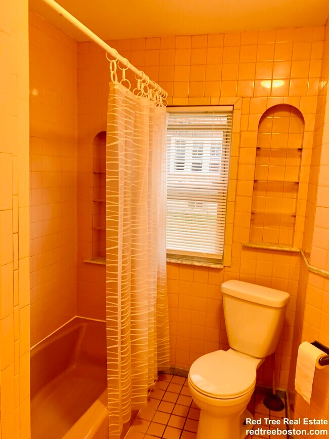 113 Lanark Rd unit 1, Brighton, MA 02135 - photo 6