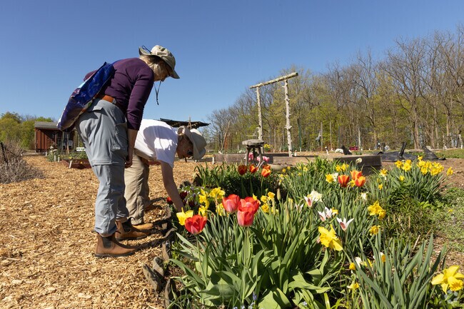 Thompson-Mazzarella Park is just outside Clinton Town and sits on 72 acres with a 2.2 mile trail to enjoy.