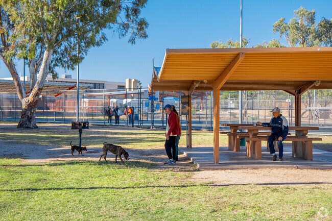 Dog ownership is popular in Carriage Park.