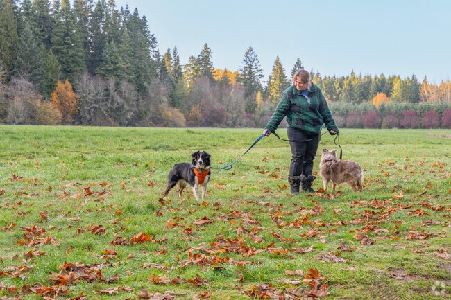 Whipple Creek Park in Knapp offers wooded trails for walking dogs and hiking.