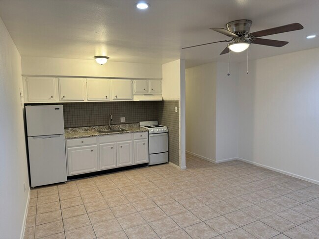 515 Uta Blvd unit 202, Arlington, TX 76010 - photo 5
