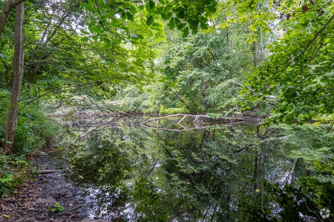 Sleepy Hollow Park in Springdale is full of trees and ponds making for a beautiful environment.