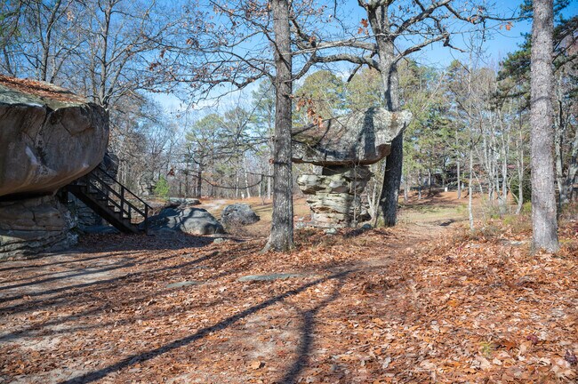 Steele Alabama's Mushroom Rock is located at Horse Pen 40.