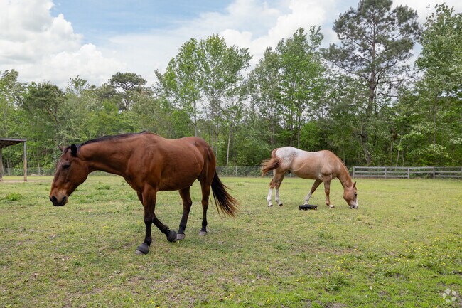 Animals can be seen outdoors throughout Dale.