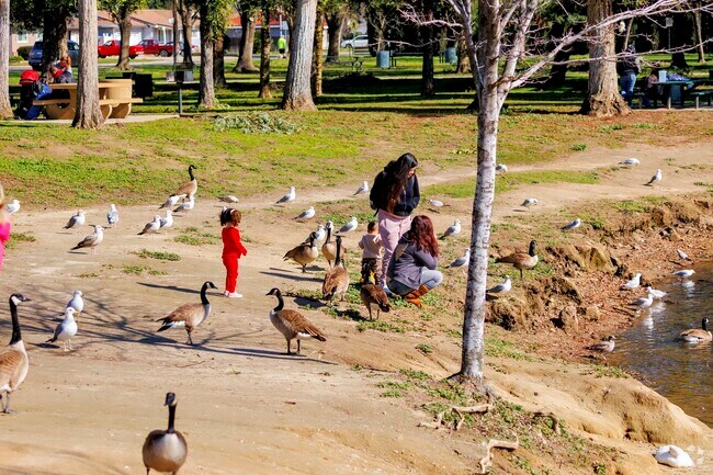 Spend time in nature at Donnelly Park in The City of Turlock.